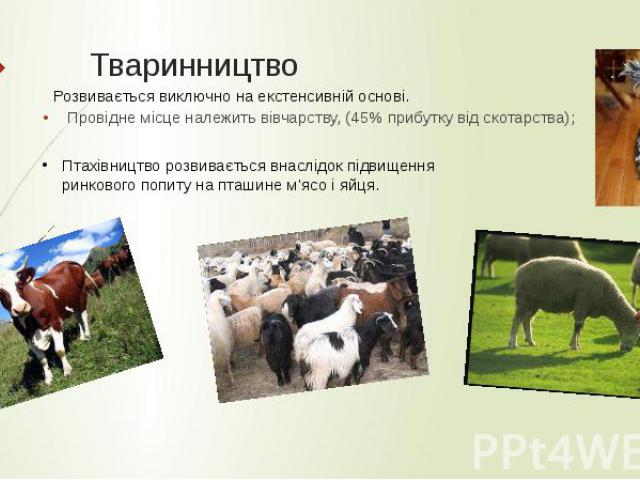 Тваринництво Провідне місце належить вівчарству, (45% прибутку від скотарства); 