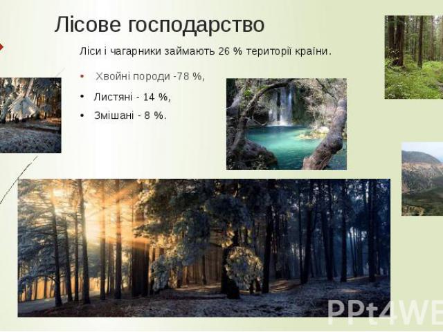 Лісове господарство Хвойні породи -78 %,
