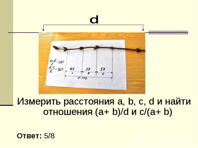 Измерить расстояния a, b, c, d и найти отношения (a+ b)/d и c/(a+ b) Измерить расстояния a, b, c, d и найти отношения (a+ b)/d и c/(a+ b) Ответ: 5/8