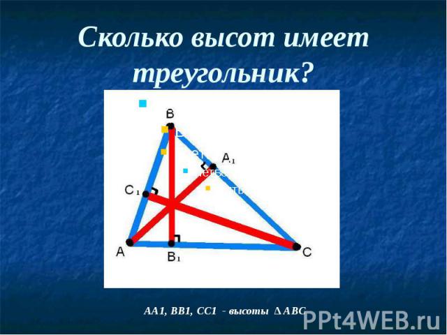 Сколько высот имеет треугольник?