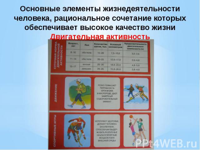 Основные элементы жизнедеятельности человека, рациональное сочетание которых обеспечивает высокое качество жизни Двигательная активность