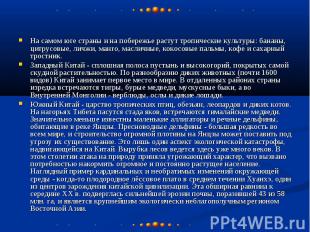 На самом юге страны и на побережье растут тропические культуры: бананы, цитрусов