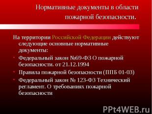 На территории Российской Федерации действуют следующие основные нормативные доку
