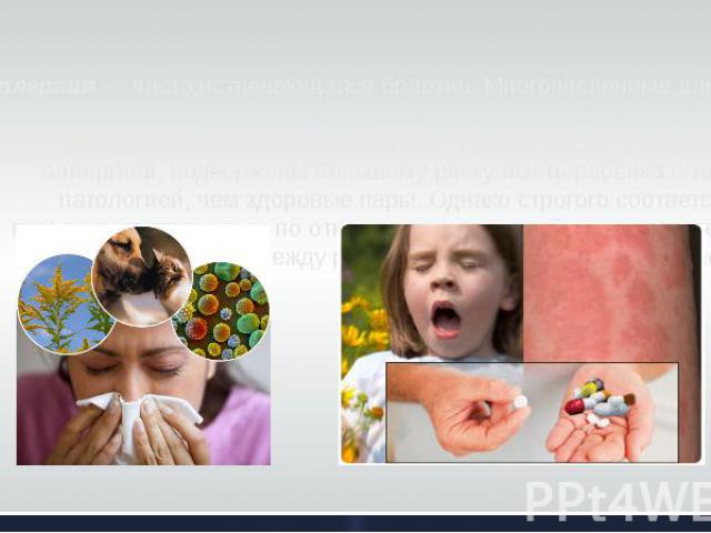 Аллергия — часто встречающаяся болезнь. Многочисленные данные свидетельствуют о существовании наследственной предрасположенности к аллергии. Так, родители, страдающие аллергией, подвержены большему риску иметь ребёнка с той же патологией, чем здоров…