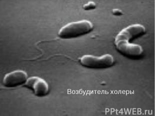 Биологические (бактериологические) факторы – токсины, бактерии и другие биологич