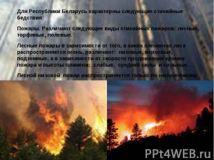 Для Республики Беларусь характерны следующие стихийные бедствия: Для Республики
