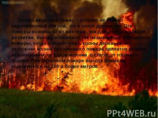 Лесной верховой пожар – сгорает не только надпочвенный покров, но и полог древос