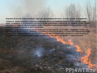 Подземный лесной пожар возникает чаще как продолжение низового, если лес растет