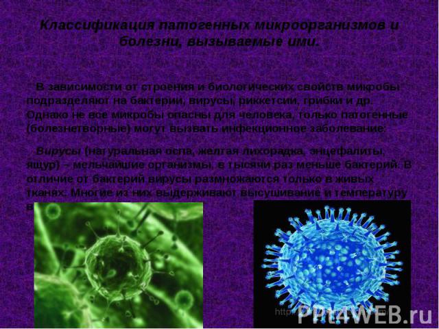 Классификация патогенных микроорганизмов и болезни, вызываемые ими. В зависимости от строения и биологических свойств микробы подразделяют на бактерии, вирусы, риккетсии, грибки и др. Однако не все микробы опасны для человека, только патогенные (бол…