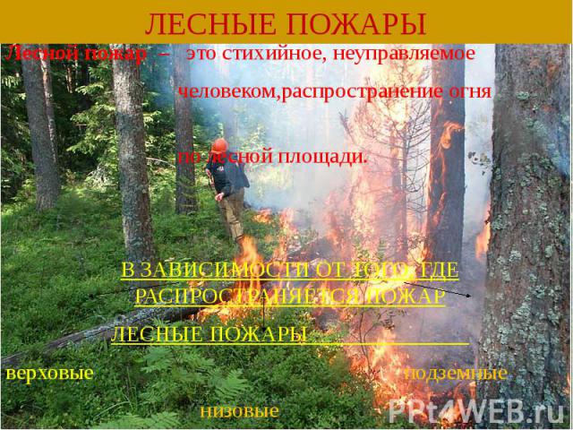 Лесной пожар – это стихийное, неуправляемое Лесной пожар – это стихийное, неуправляемое человеком,распространение огня по лесной площади. В ЗАВИСИМОСТИ ОТ ТОГО, ГДЕ РАСПРОСТРАНЯЕТСЯ ПОЖАР ЛЕСНЫЕ ПОЖАРЫ верховые подземные низовые