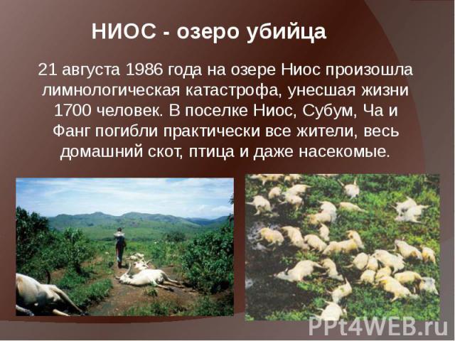 НИОС - озеро убийца 21 августа 1986 года на озере Ниос произошла лимнологическая катастрофа, унесшая жизни 1700 человек. В поселке Ниос, Субум, Ча и Фанг погибли практически все жители, весь домашний скот, птица и даже насекомые.