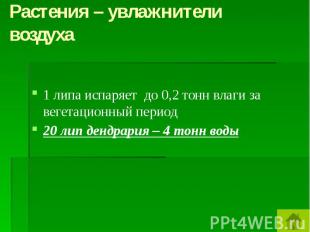 Растения – увлажнители воздуха 1 липа испаряет до 0,2 тонн влаги за вегетационны