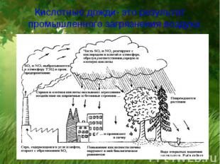 Кислотные дожди- это результат промышленного загрязнения воздуха Кислотные дожди