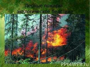 Лесные пожары- экологическое бедствие