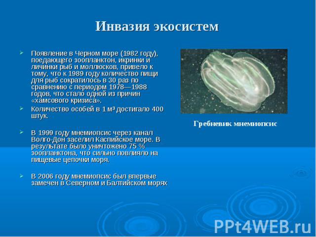 Появление в Черном море (1982 году), поедающего зоопланктон, икринки и личинки рыб и моллюсков, привело к тому, что к 1989 году количество пищи для рыб сократилось в 30 раз по сравнению с периодом 1978—1988 годов, что стало одной из причин «хамсовог…