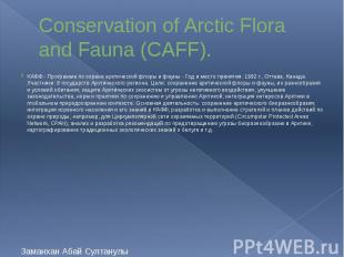 Conservation of Arctic Flora and Fauna (CAFF). КАФФ - Программа по охране арктич