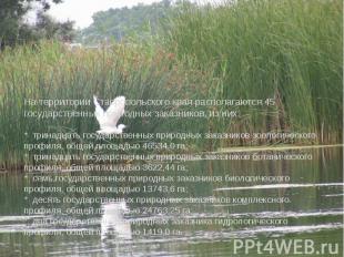 На территории Ставропольского края располагаются 45 государственных природных за