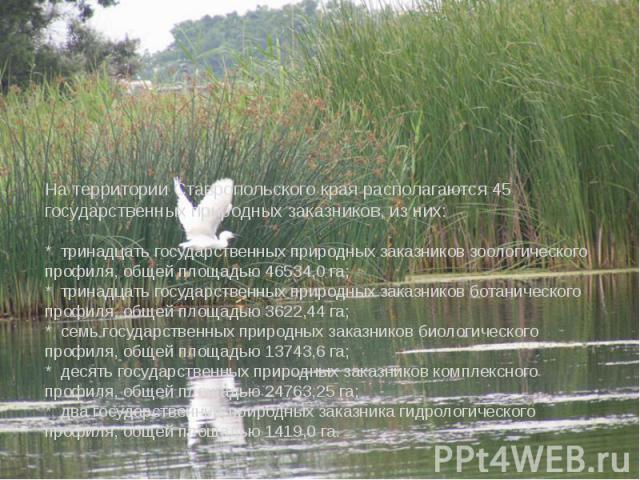 На территории Ставропольского края располагаются 45 государственных природных заказников, из них: * тринадцать государственных природных заказников зоологического профиля, общей площадью 46534,0 га; * тринадцать государственных природных заказников …