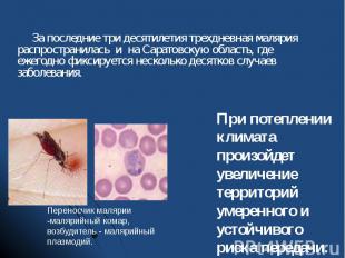 За последние три десятилетия трехдневная малярия распространилась и на Саратовск