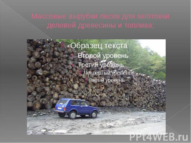 Массовые вырубки лесов для заготовки деловой древесины и топлива;