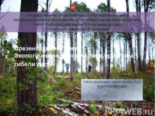Презентация на тему: Экологические функции леса,проблема гибели леса. Работу вып