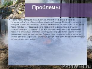 Проблемы Гибель лесов вследствие сильного облучения отмечалась в районах Кыштымс