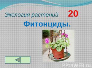 Экология растений 20