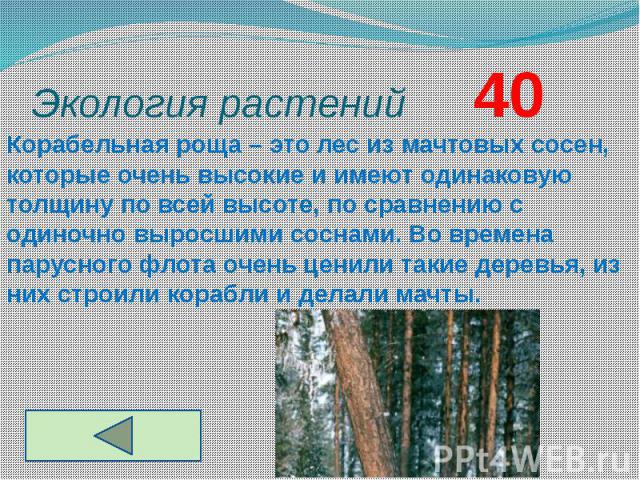 Экология растений 40