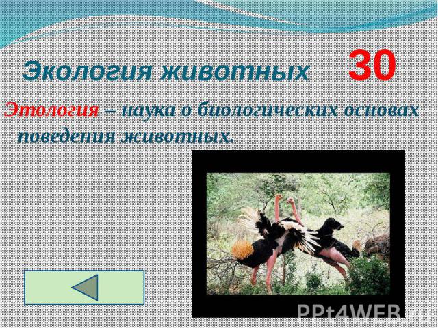 Экология животных 30 Этология – наука о биологических основах поведения животных.