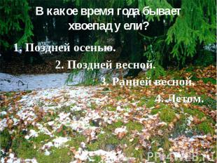 В какое время года бывает хвоепад у ели? 1. Поздней осенью. 2. Поздней весной. 3