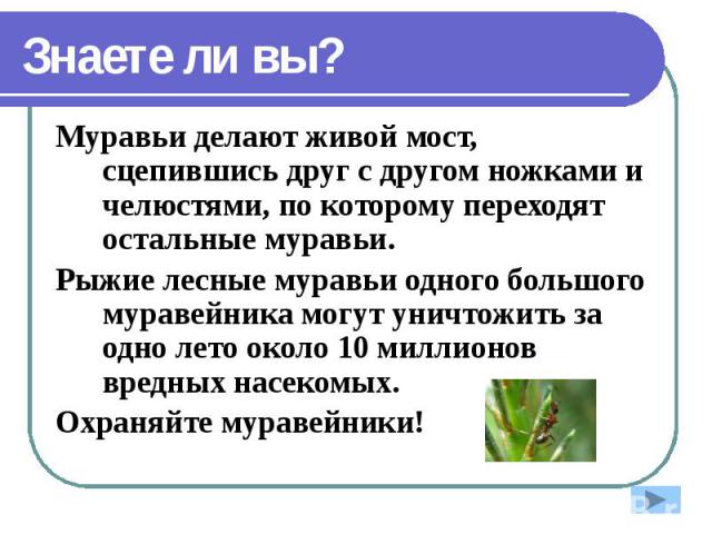 Знаете ли вы? Муравьи делают живой мост, сцепившись друг с другом ножками и челюстями, по которому переходят остальные муравьи. Рыжие лесные муравьи одного большого муравейника могут уничтожить за одно лето около 10 миллионов вредных насекомых. Охра…