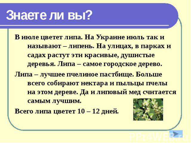 Знаете ли вы? В июле цветет липа. На Украине июль так и называют – липень. На улицах, в парках и садах растут эти красивые, душистые деревья. Липа – самое городское дерево. Липа – лучшее пчелиное пастбище. Больше всего собирают нектара и пыльцы пчел…