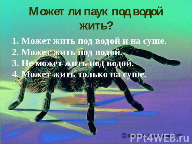 Может ли паук под водой жить? 1. Может жить под водой и на суше. 2. Может жить под водой. 3. Не может жить под водой. 4. Может жить только на суше.