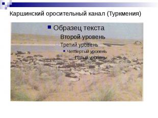 Каршинский оросительный канал (Туркмения)