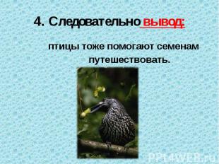 4. Следовательно вывод: птицы тоже помогают семенам путешествовать. &nbsp;