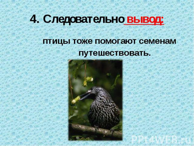 4. Следовательно вывод: птицы тоже помогают семенам путешествовать.  