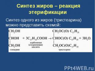 Синтез жиров – реакция этерификации Синтез одного из жиров (тристеарина) можно п