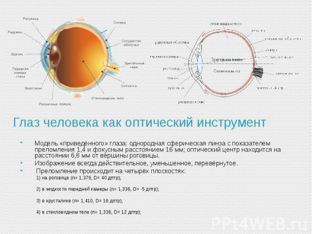 Глаз человека как оптический инструмент Модель «приведённого» глаза: однородная сферическая линза с показателем преломления 1,4 и фокусным расстоянием 16 мм; оптический центр находится на расстоянии 6,8 мм от вершины роговицы. Изображение всегда дей…