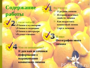 Содержание работы Вы узнаете: О родине лимона Истории полезных свойств лимона Ка