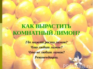 КАК ВЫРАСТИТЬ КОМНАТНЫЙ ЛИМОН? Где может расти лимон? Что любит лимон? Что не лю