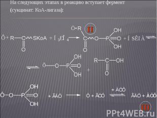 На следующих этапах в реакцию вступает фермент На следующих этапах в реакцию вст