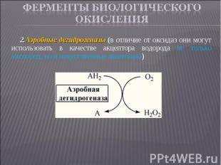 Аэробные дегидрогеназы (в отличие от оксидаз они могут использовать в качестве а