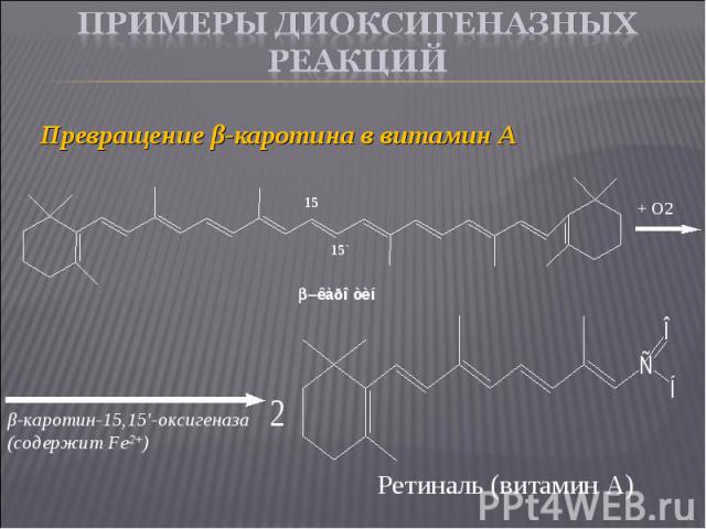 Превращение β-каротина в витамин А Превращение β-каротина в витамин А