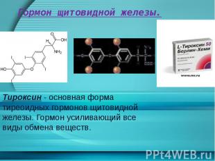 Гормон щитовидной железы. Тироксин - основная форма тиреоидных гормонов щитовидн