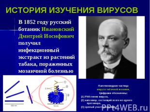 В 1852 году русский ботаник Ивановский Дмитрий Иосифович получил инфекционный эк