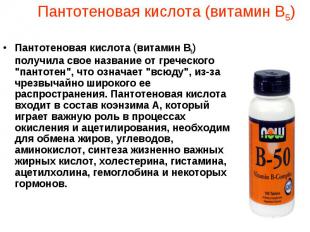 Пантотеновая кислота (витамин В5) получила свое название от греческого &quot;пан