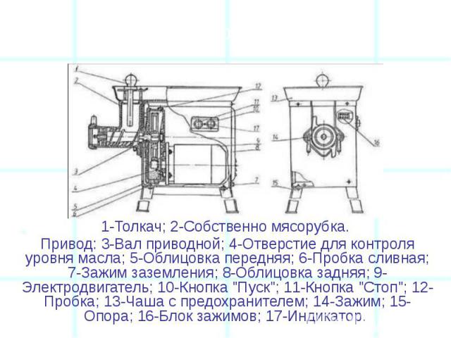 1-Толкач; 2-Собственно мясорубка. 1-Толкач; 2-Собственно мясорубка. Привод: 3-Вал приводной; 4-Отверстие для контроля уровня масла; 5-Облицовка передняя; 6-Пробка сливная; 7-Зажим заземления; 8-Облицовка задняя; 9-Электродвигатель; 10-Кнопка "П…