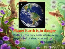 PLANET EARTH IS IN DANGER (ПЛАНЕТА ЗЕМЛЯ В ОПАСНОСТИ)
