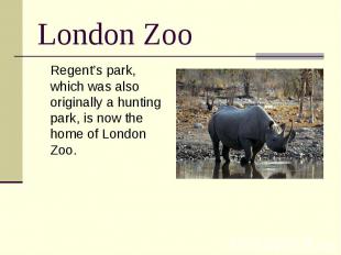 London Zoo Regent’s park, which was also originally a hunting park, is now the h