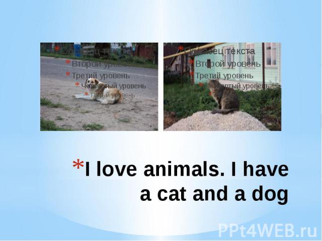 I love animals. I have a cat and a dog